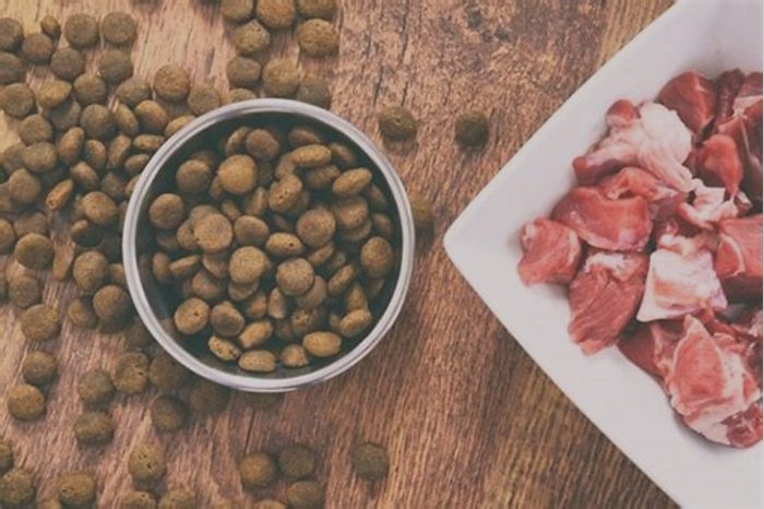 Going Green: How Organic Dog Food Benefits the Environment