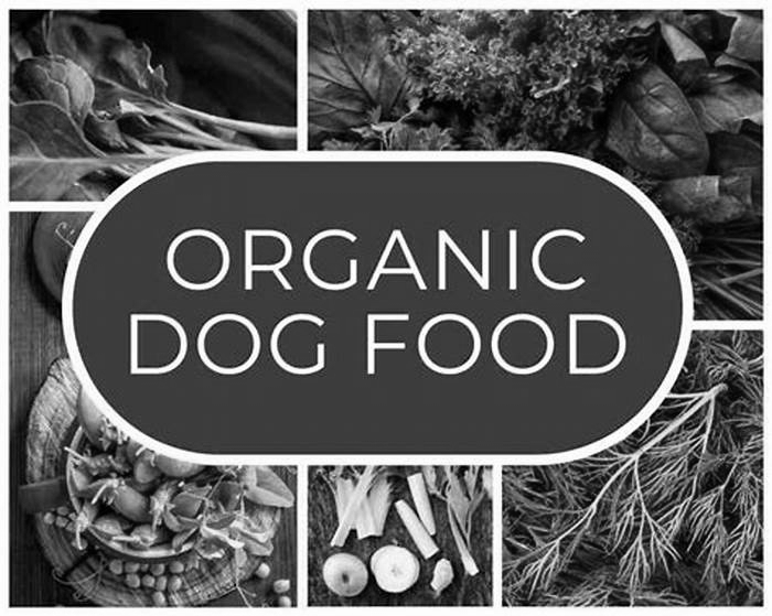 Going Green: How Organic Dog Food Can Transform Your Dog's Health