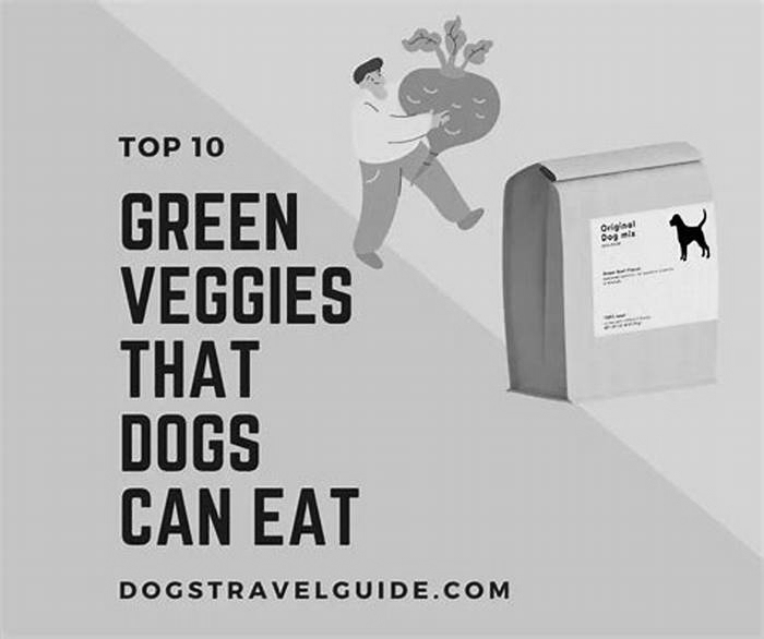 Going Green: How Organic Eating Can Benefit Your Dog's Health