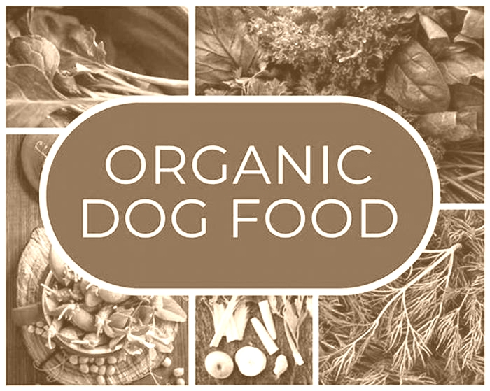 Going Green How Switching to Organic Dog Food Can Revolutionize Your Dog s Health and Happiness