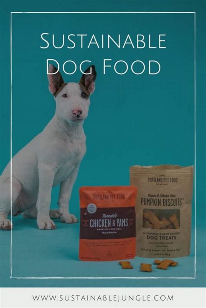 Going Green: Sustainable Solutions in Canine Cuisine