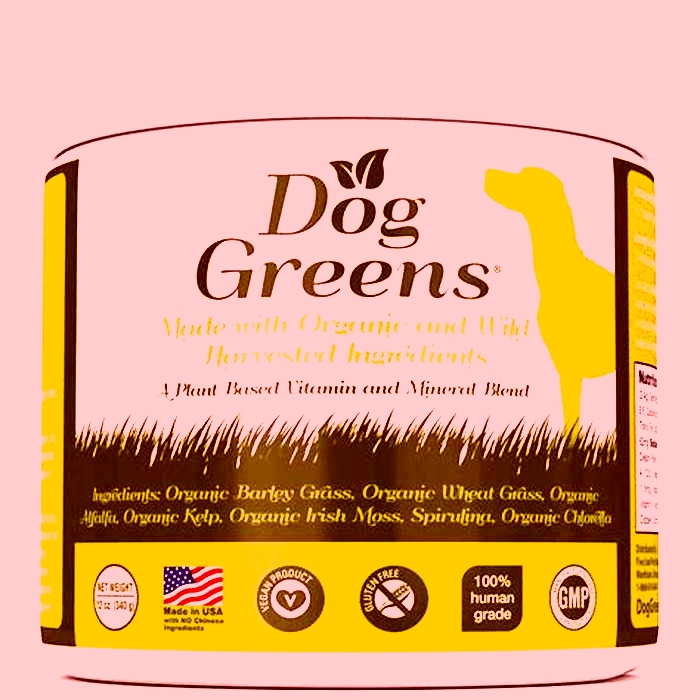 Going Green with Growls: The Organic Dog Food Movement