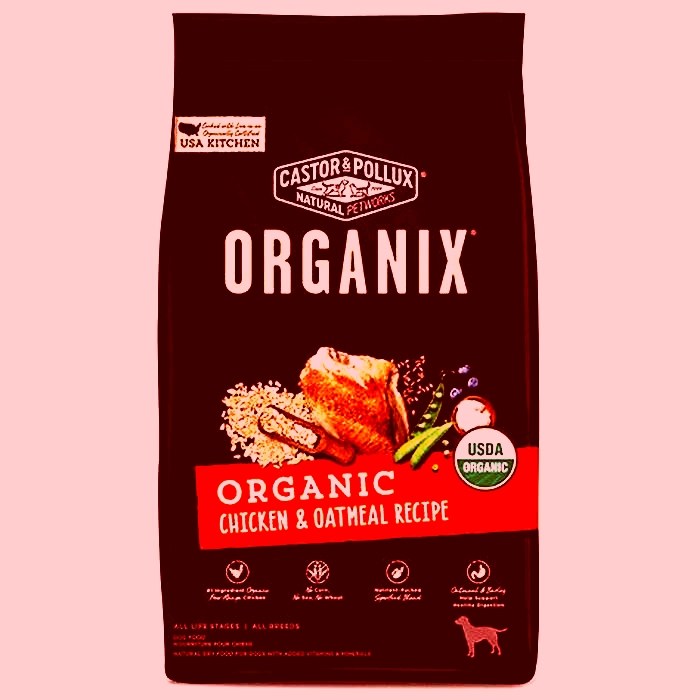 Green Grub Making the Switch to Organic Food to Ensure Your Dog s Best Life