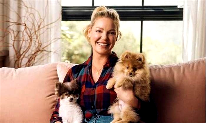 How much does Katherine Heigl's dog food cost?