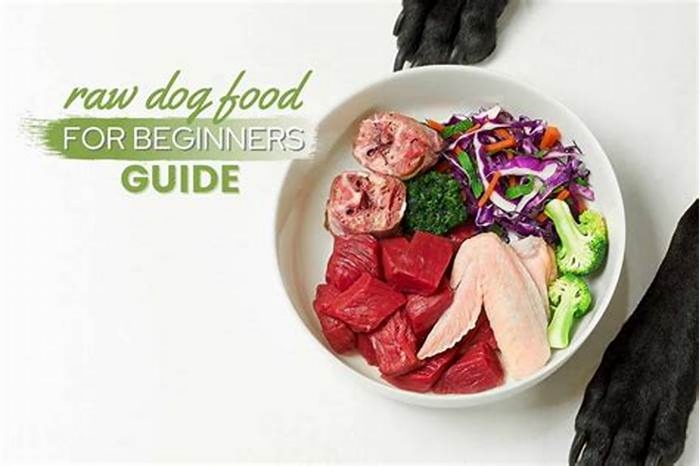 How to start a raw diet for dogs?