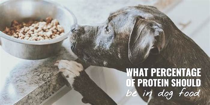 Is 30% protein too much for dog?