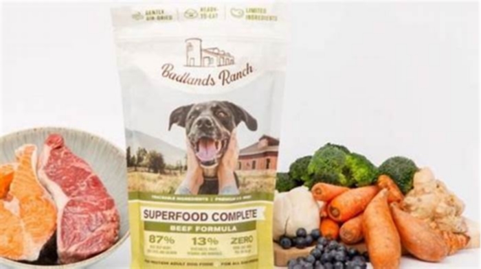 Is Badlands dog food worth it?