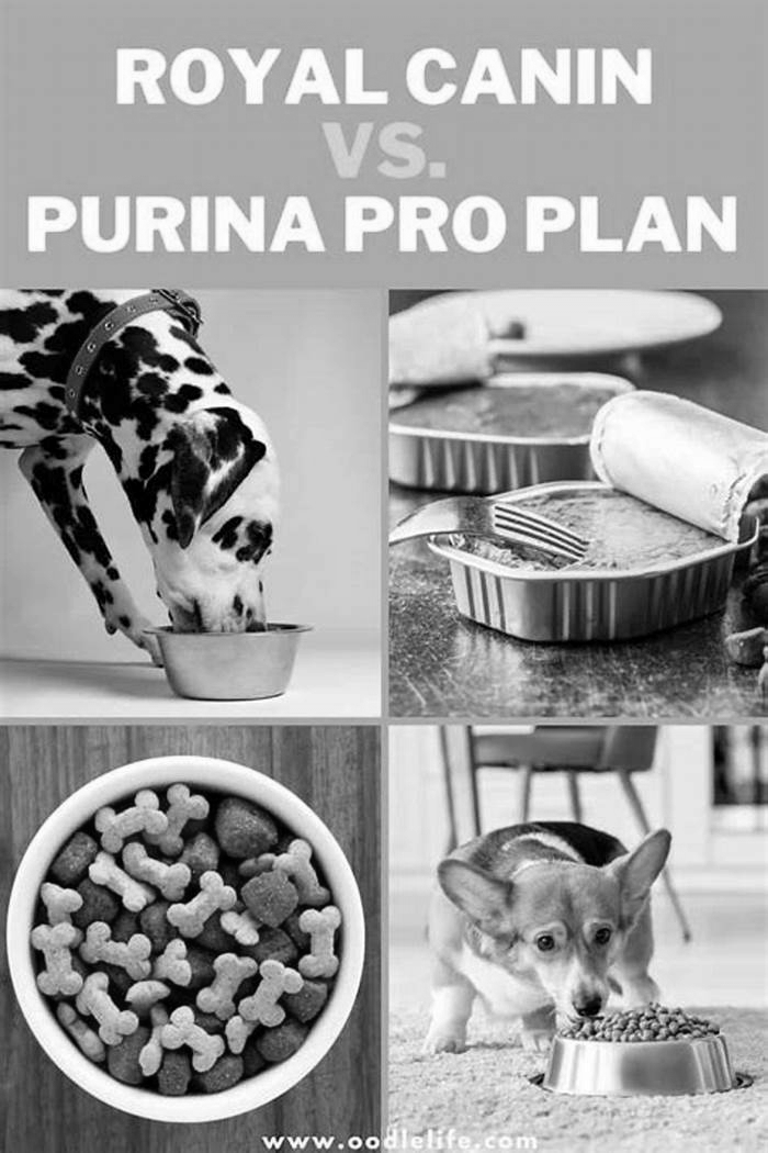 Is Purina cheaper than Royal Canin