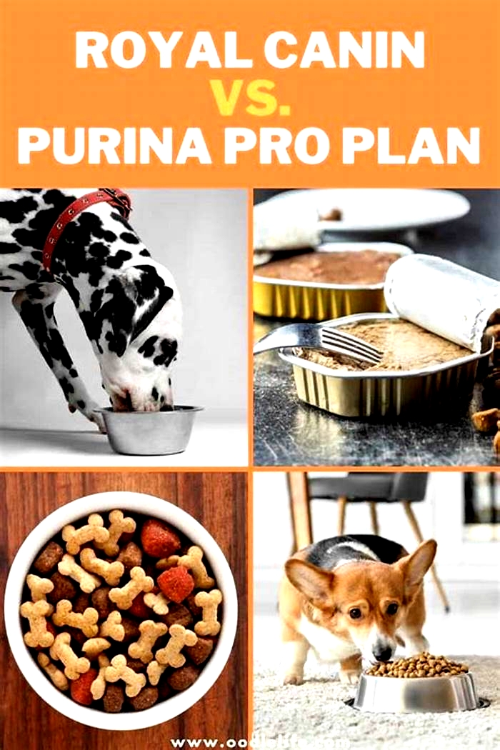 Is Purina the same as Royal Canin