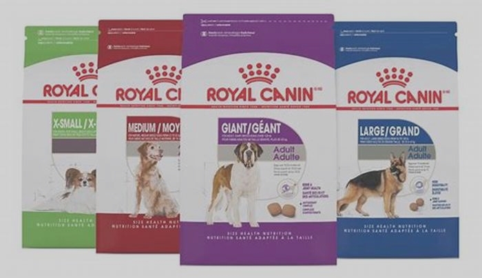 Is Royal Canin actually healthy?