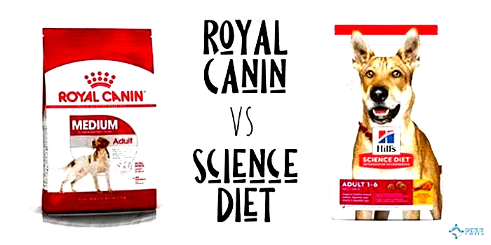 Is Royal Canin better than Hills?