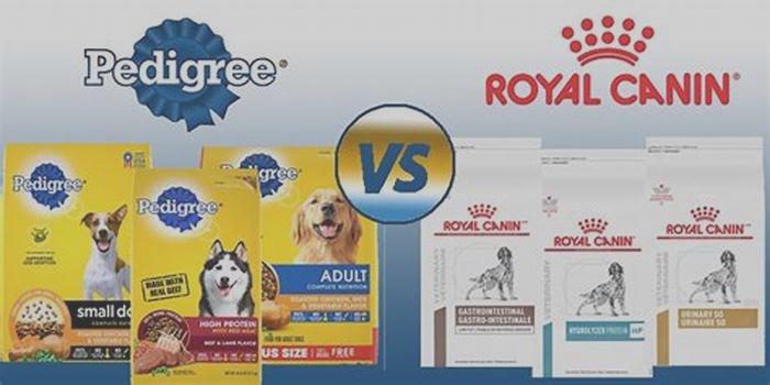 Is Royal Canin better than pedigree