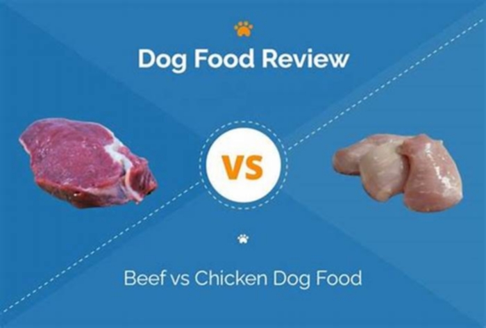 Is chicken or beef better for a dog?