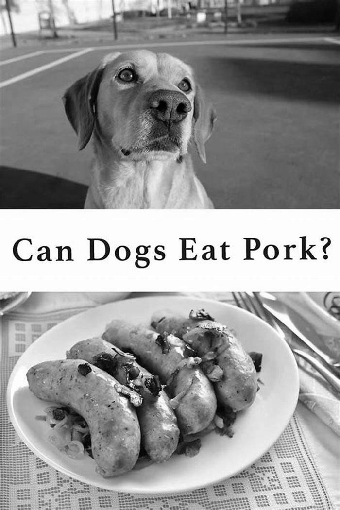 Is chicken or pork better for dogs