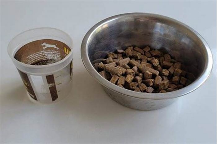 Is it OK to add water to raw dog food?