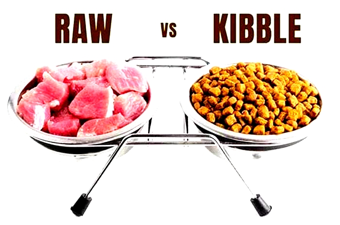 Is it OK to feed raw and kibble?