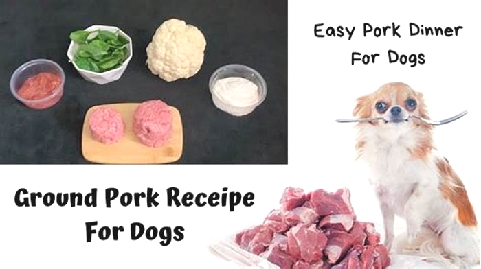 Is pork good for dogs