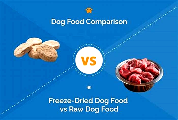 Is raw dog food better than Dry?