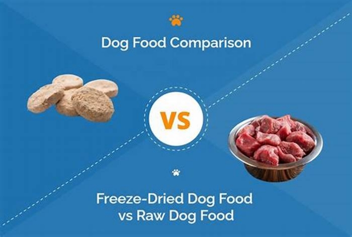 Is raw dog food better than dried