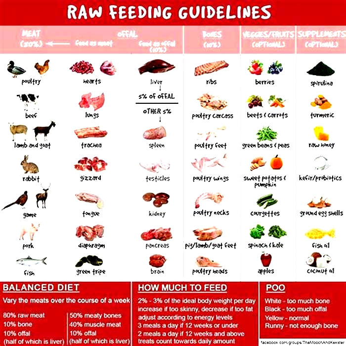 Is raw food harder to digest for dogs