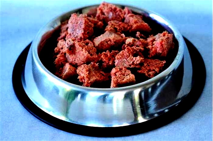 Is raw meat good for dogs