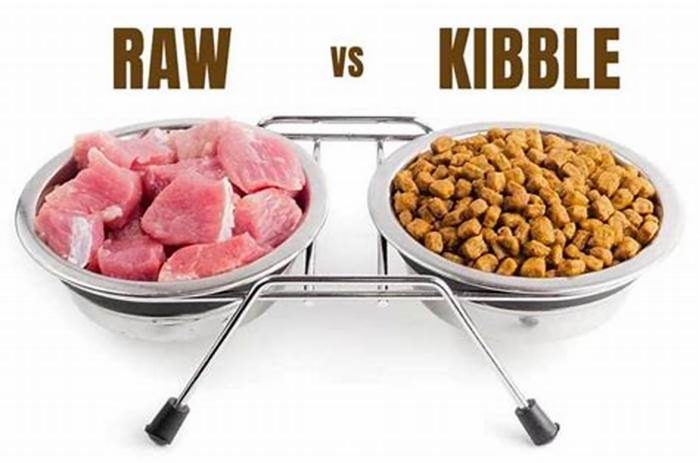 Is raw really better than kibble?