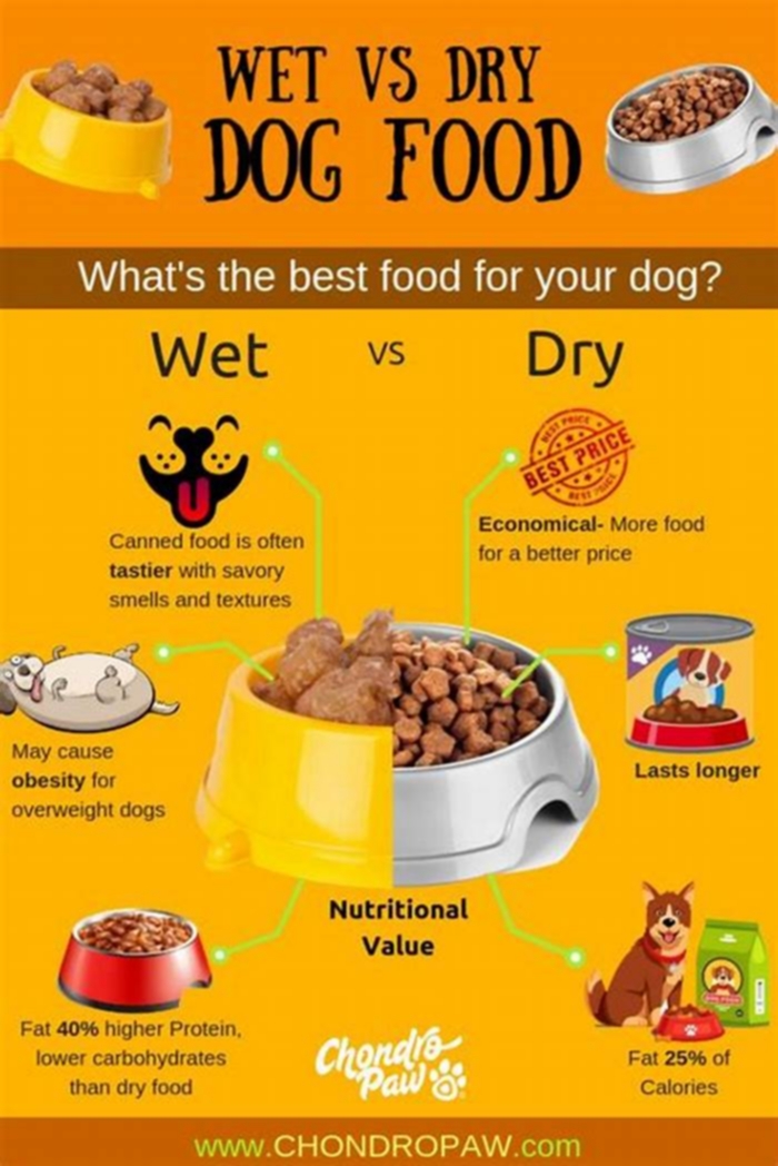 Is wet dog food better than raw