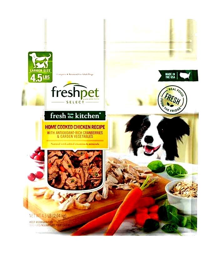 Natural Nosh: Nurturing Your Dog with the Goodness of Organic Food