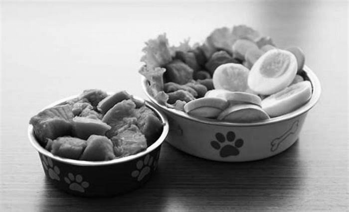 Nourish Your Pooch Naturally: Fueling Your Dog's Health with Raw Food