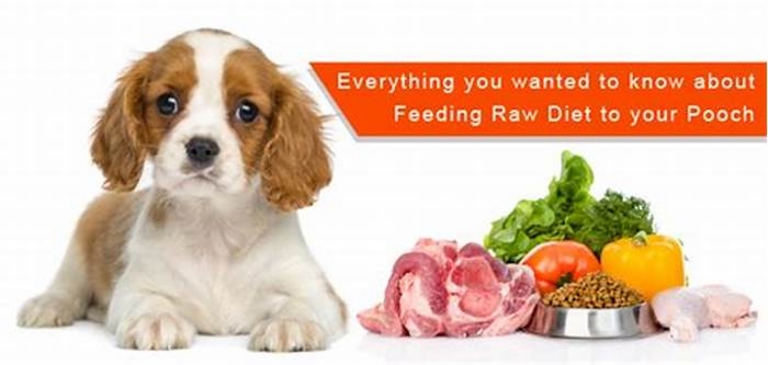 Nourish Your Pooch Naturally: Unveiling the Benefits of Raw Food