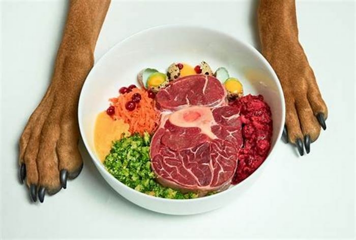 Nutritional Superiority Crafting Superior Raw Dog Meals