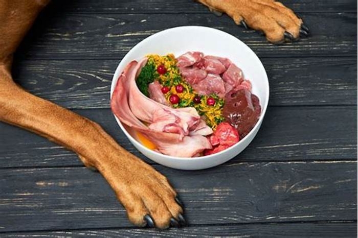 Nutritional Superiority Elevating Your Dog s Diet with Raw Food