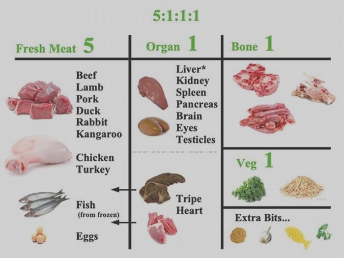 Optimal Canine Health A Guide to Premium Raw Dog Diets