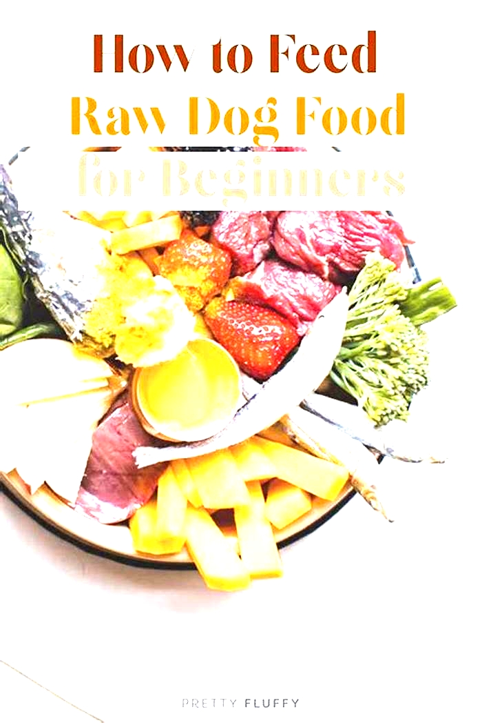 Premium Raw Canine Cuisine Crafting Optimal Raw Dog Diets