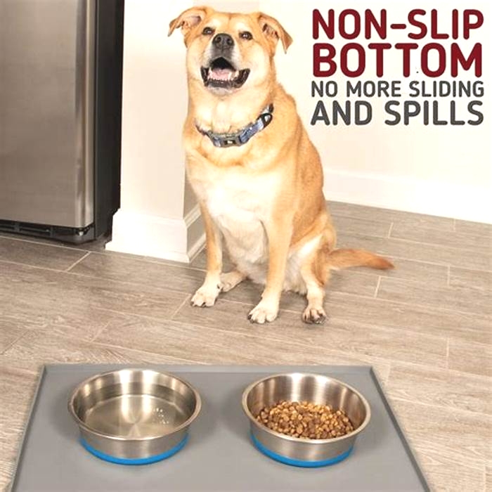 Premium Raw Canine Cuisine Elevating Mealtime for Your Furry Friend