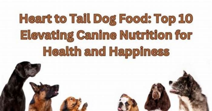 Premium Raw Canine Cuisine Elevating Your Dog s Health and Happiness