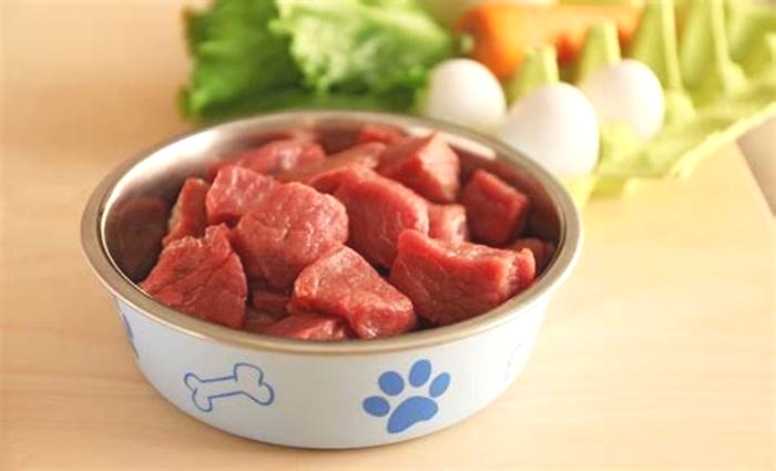 Premium Raw Canine Cuisine Exploring the Best Raw Dog Food Choices