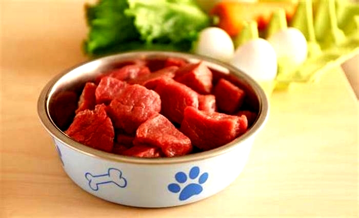 Premium Raw Canine Cuisine: Unlocking the Power of Raw Dog Food