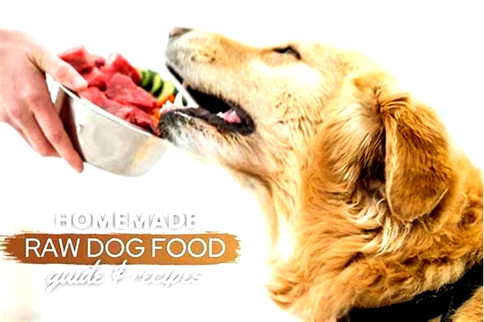 Prime Raw Canine Cuisine: Crafting Optimal Meals for Your Pup