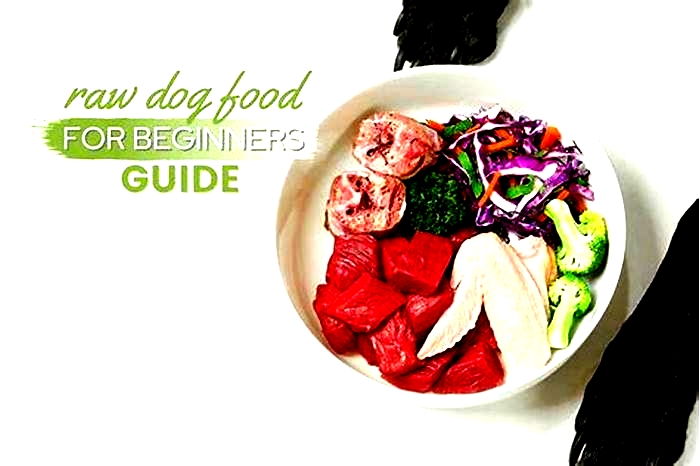 Prime Raw Canine Cuisine: Elevating Your Dog's Wellness with Raw Food