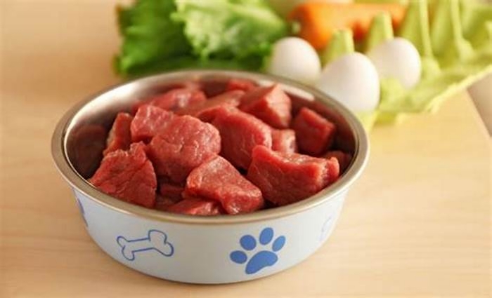 Prime Raw Canine Cuisine Fueling Your Dog s Happiness with Raw Food