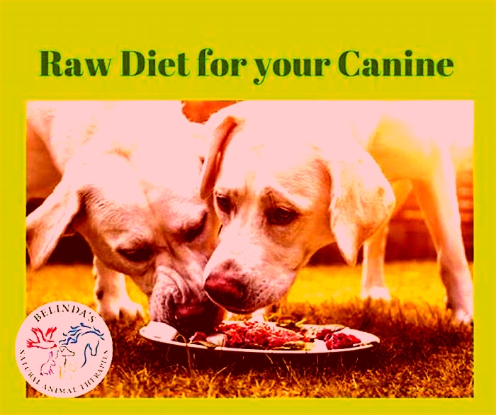 Prime Raw Canine Cuisine: Fueling Your Dog's Health and Happiness