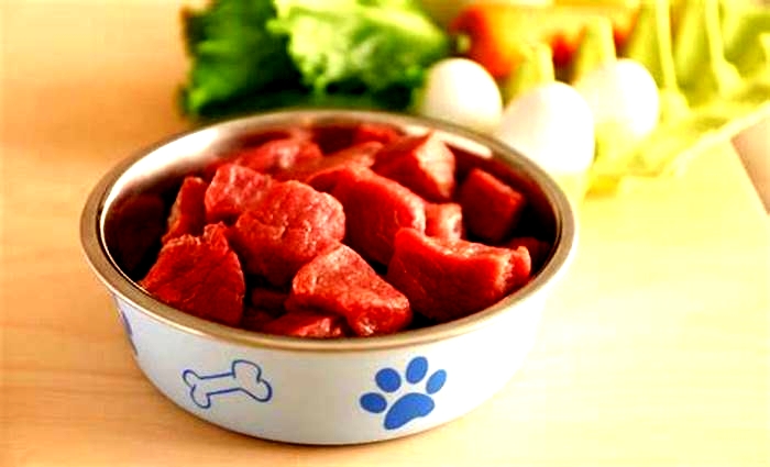 Prime Raw Canine Cuisine: Nourishing Your Dog with Premium Raw Food