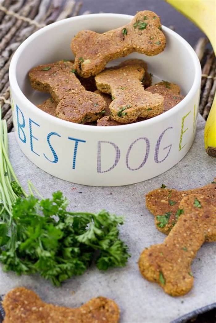 Pup Palate Pleasers Indulging in Organic Dog Treats