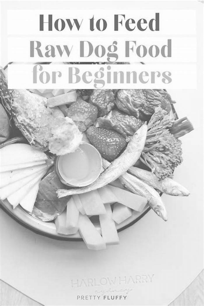 Raw Feeding Excellence A Guide to Crafting Premium Raw Dog Diets