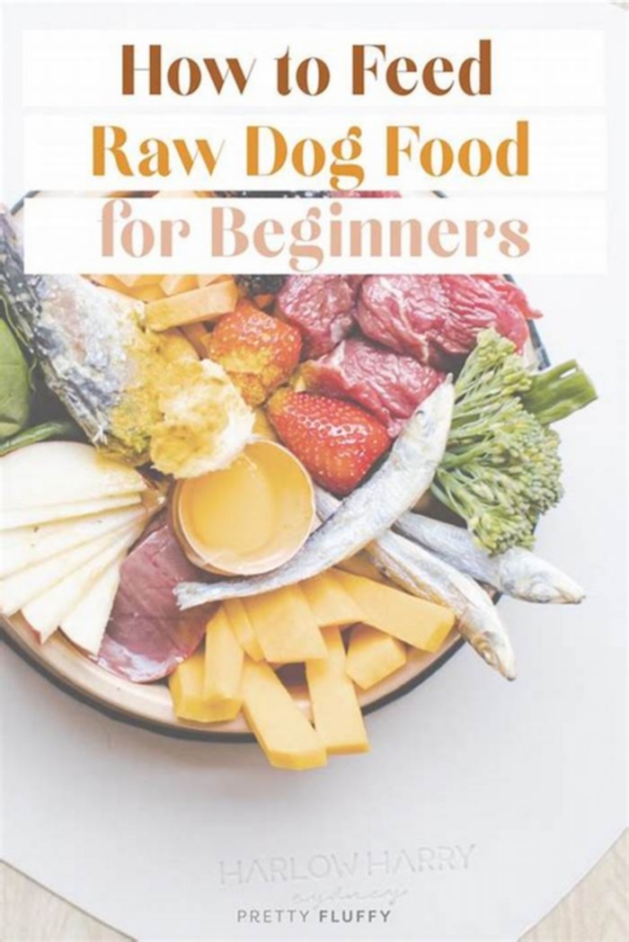 Raw Feeding Excellence A Guide to Crafting Premium Raw Dog Meals