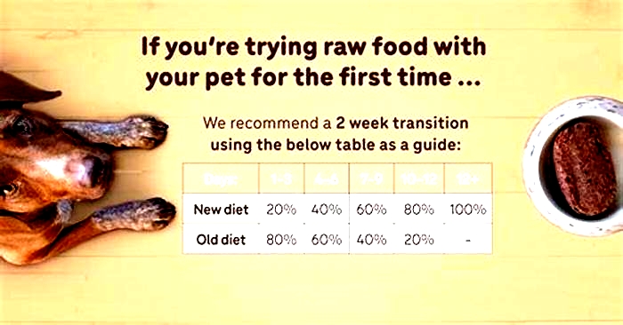 Raw Feeding Excellence Crafting Optimal Meals for Your Pup