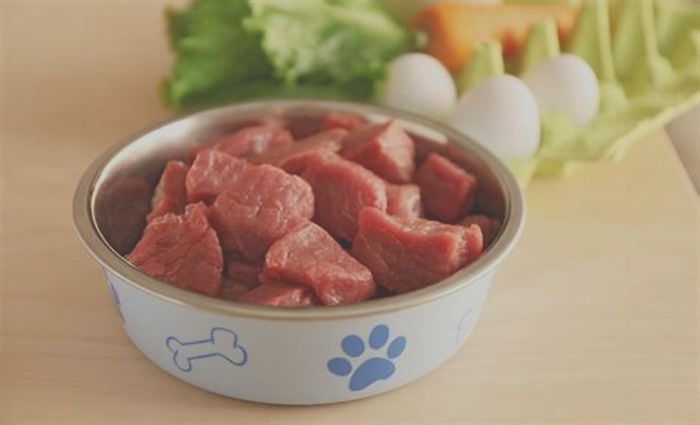 Raw Feeding Mastery: Unveiling the Best Raw Dog Food Options