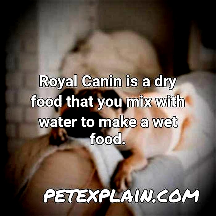 Should Royal Canin be mixed with water?