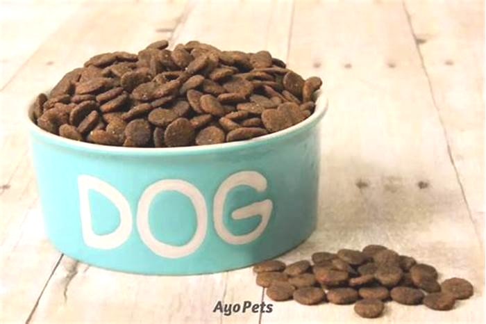 Should you soak dry dog food